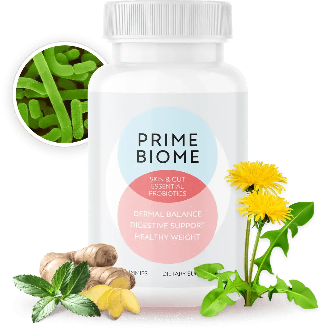 PrimeBiome bottle supplement for gut and skin health