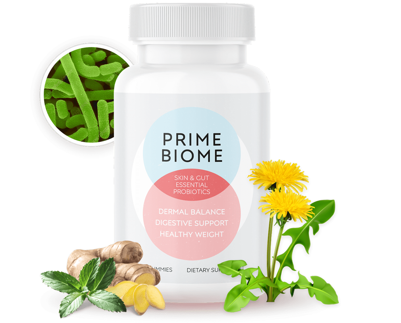 primebiome primebiome